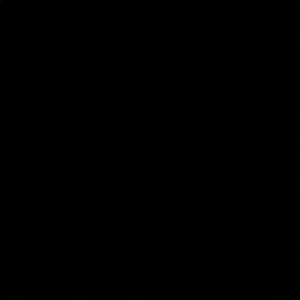 Meet your Posher, Kalie